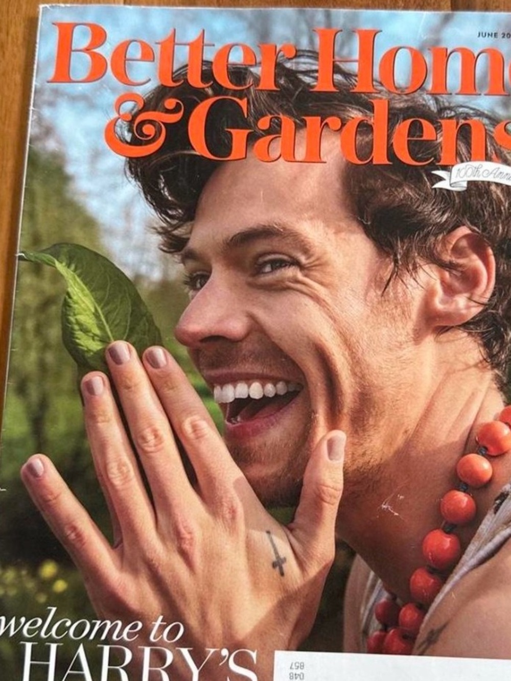 HARRY STYLES Better Homes & Gardens Magazine - Orange Cover Accents
